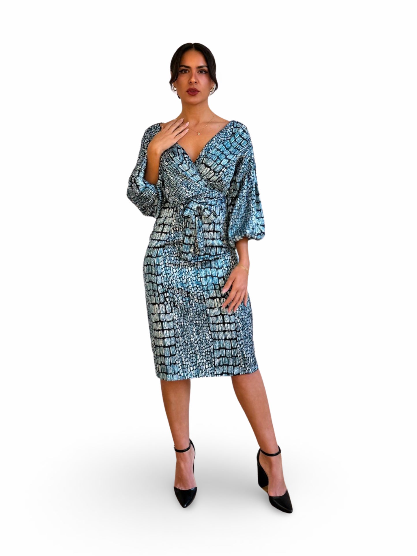 Alina Savage Dress